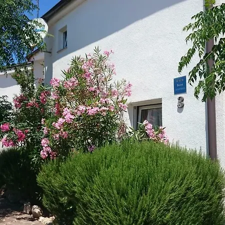 Apartament Filipasic
