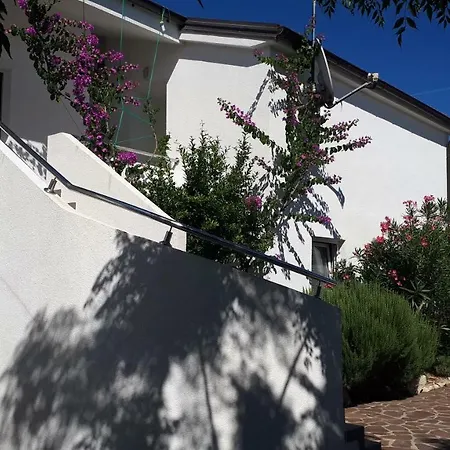 Apartment Filipasic
